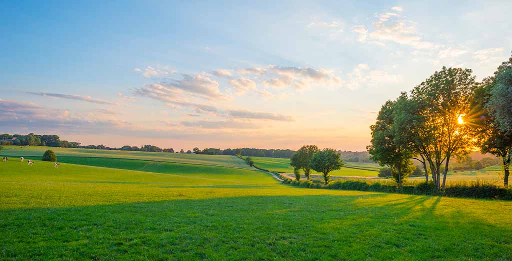 Towards a decarbonised future in rural Europe with LPG